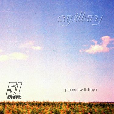 Capillary - Plainview