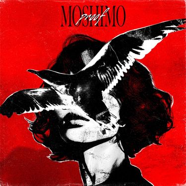 MOSHIMO - Proof
