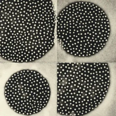 K. Leimer - Resting Forms