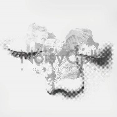 NoisyCell - Sources