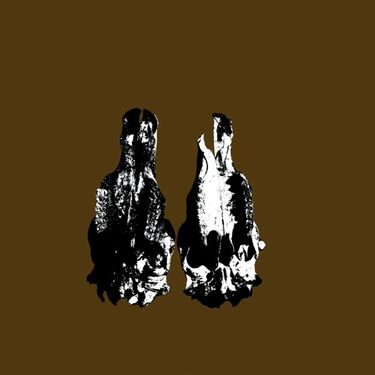 Pymathon & Gentle Evil - Split