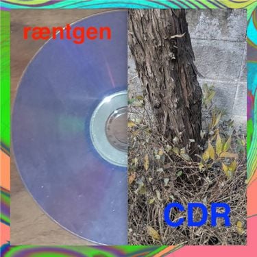 Ræntgen & CDR - Split