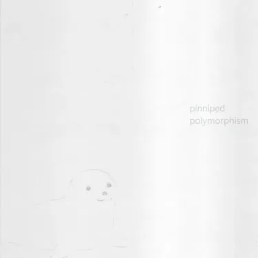 pinniped - polymorphism