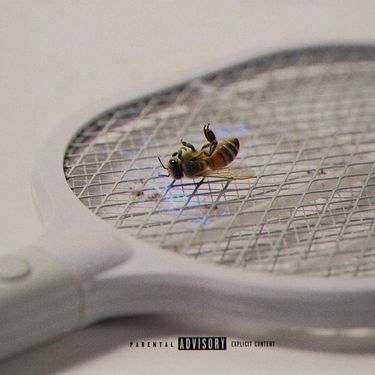 Chip - Pest Control