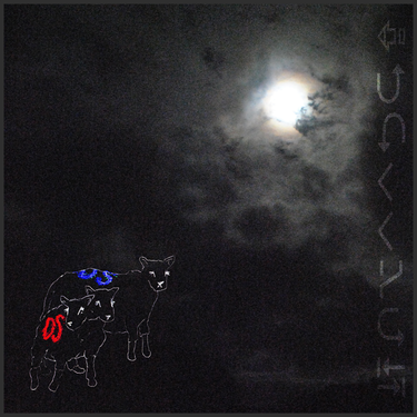 Damp Sheep - gluttony
