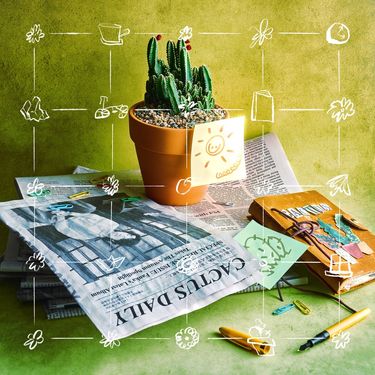 饭卡 - 仙人掌日报社 Cactus Daily