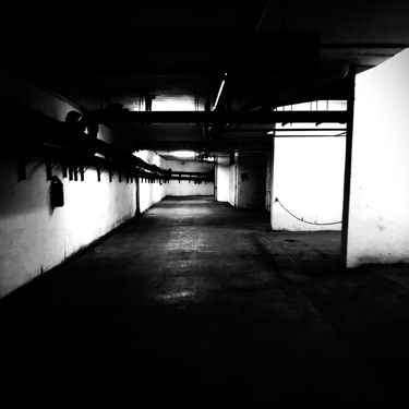 observing - Supersaw