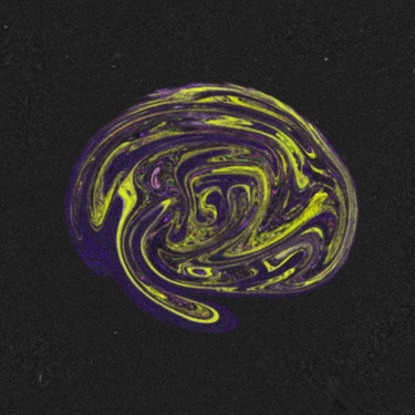 Decoder - Revival