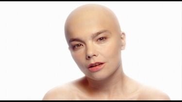 Bj&ouml;rk - Hunter