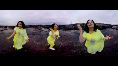Bj&ouml;rk - Stonemilker