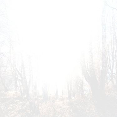 Also, be safe - ∙ pendulum ∙