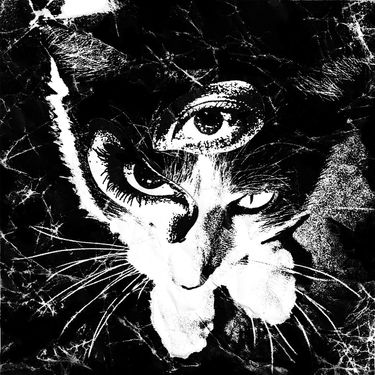 東京酒吐座 [Tokyo Shoegazer] - Remains - Reviews - Album of The Year