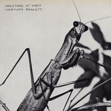 Courtney Barnett - Creature of Habit