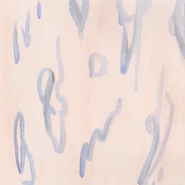 Erasers - Pulse Points
