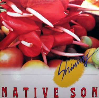 Native Son - Shining