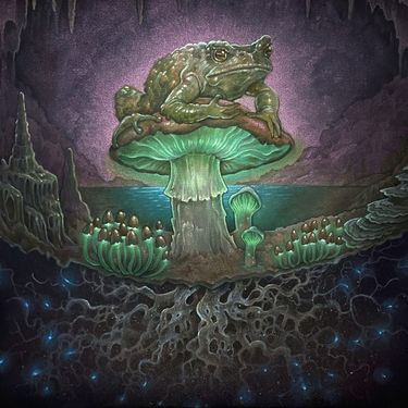 Toadface - Mycelium Network