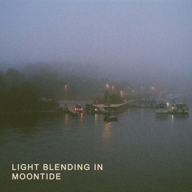 Light Blending In - Moontide