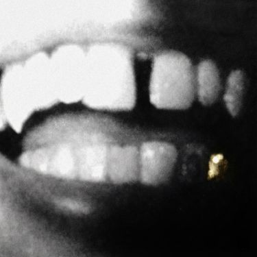 fish dish - missing tooth