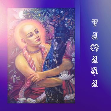 Тамала - Тамала