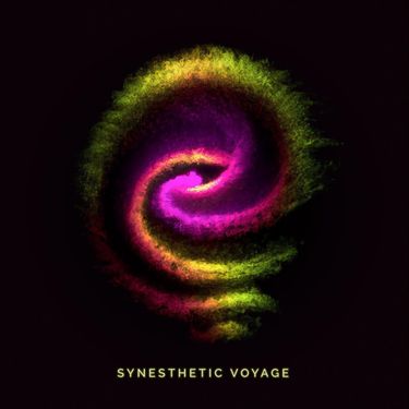Void Pointer - Synesthetic Voyage