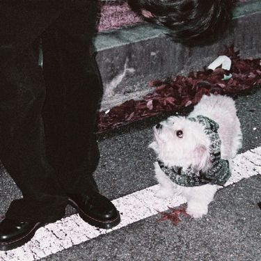 구름 [Cloud koh] - 冬に置いてきたもの