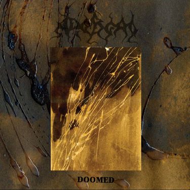 Древедь [Dreved] - Forest (Doomed)