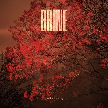 Brine - Softling