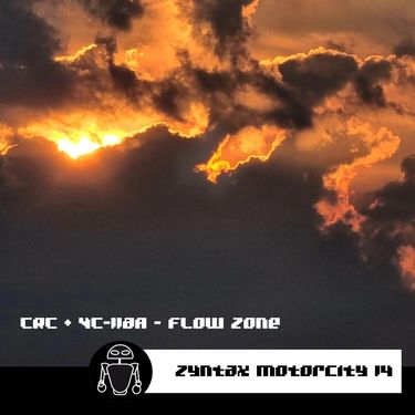 VC-118A - Flow Zone