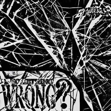 break - IS SOMETHING WRONG?