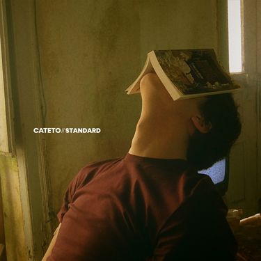 Cateto - Standard