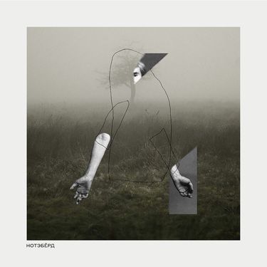 Нотэбёрд [Notabird] - Нотэбёрд
