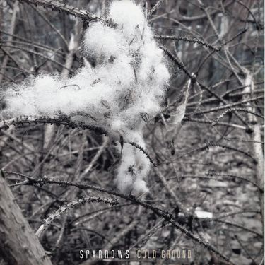Sparrows - Cold Ground