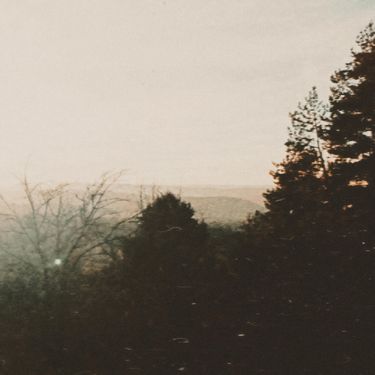 Отстранение - Отстранение