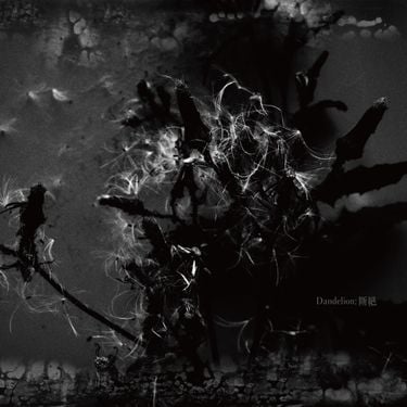 Madmans Esprit - Dandelion; 斷絕 - Reviews - Album of The Year