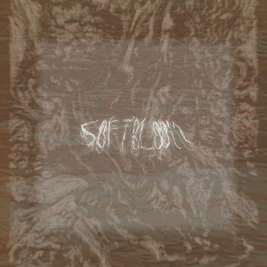 Softbloom - softbloom