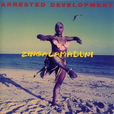 Arrested Development - Zingalamaduni