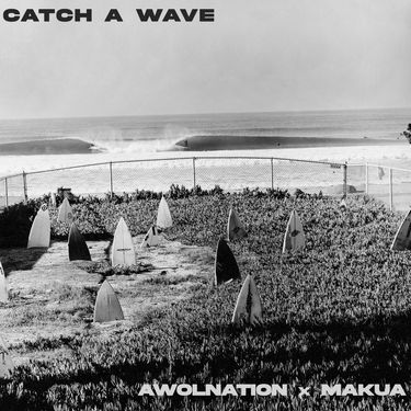 AWOLNATION & Makua - Catch A Wave