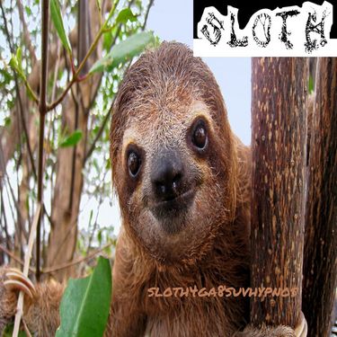Sloth - Sloth