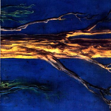 Current 93 - Tamlin