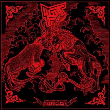 Test - Esp&eacute;cies
