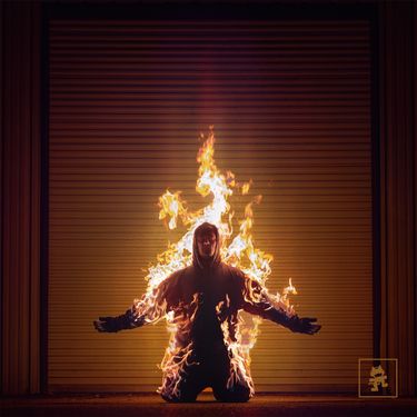 Virtual Riot - Burning Out
