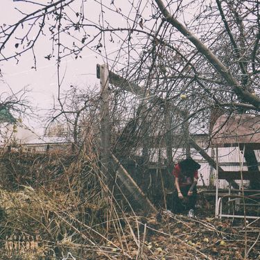 Young P&H - Овраг