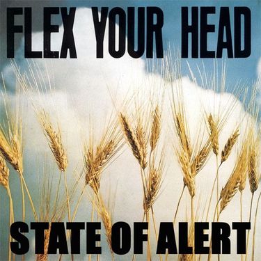 S.O.A. - Flex Your Head
