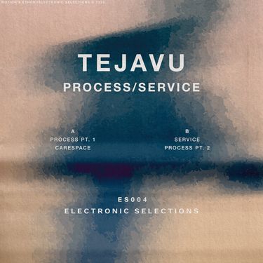 Tejavu - PROCESS/SERVICE