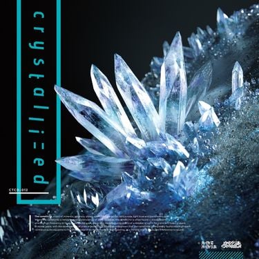 かめりあ [Camellia] - crystallized