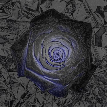 아우 [AWU] - Rose