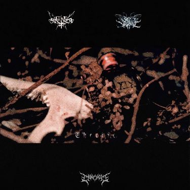 Code: Pandorum & Signs of the Swarm - Theriac