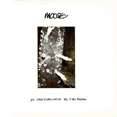 Moose - Jack