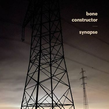 Bone Constructor - Synapse