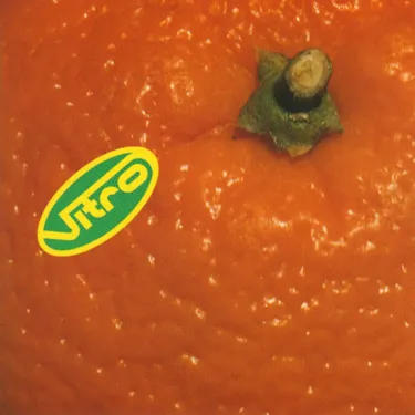 Vitro - Orange